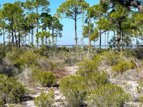 751 Bay Dr, Carrabelle, FL 32322