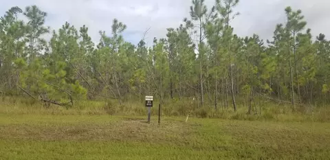 lot21 Wide Water Cir, Wewahitchka, FL 32465