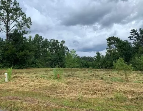 tbd Parker St, Wewahitchka, FL 32465