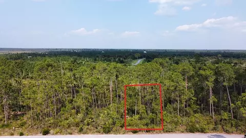 lot13 Treys Ln, Wewahitchka, FL 32465