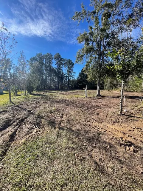lot7 Canning Dr, Wewahitchka, FL 32465