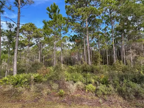 Parcel 4 Houston Rd, Eastpoint, FL 32328
