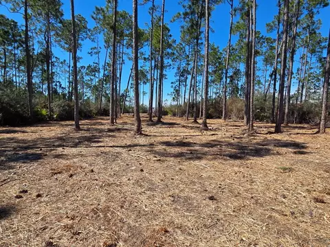 lot15 Treys Ln, Wewahitchka, FL 32465