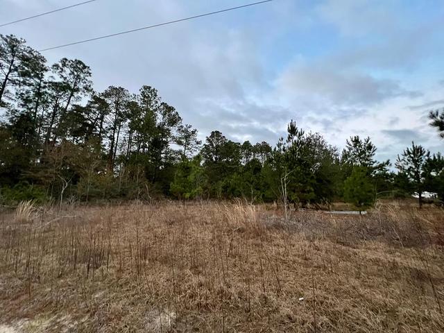 lot17 Fox Chase Dr, Wewahitchka, FL 32465