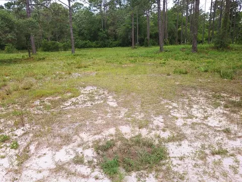 1529 Hwy 67, Carrabelle, FL 32322