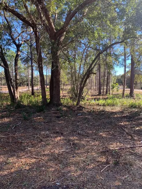 lot12 Oak St, Carrabelle, FL 32322