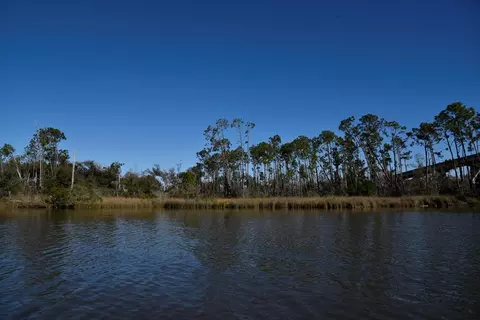 Tbd Hummingbird Ave, Wewahitchka, FL 32465