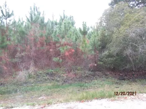 148 Doe Ln, Carrabelle, FL 32322 photo 4