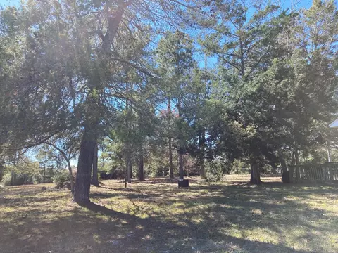 Other - 192 River Rd, Carrabelle, FL 32322 photo 7 of 7