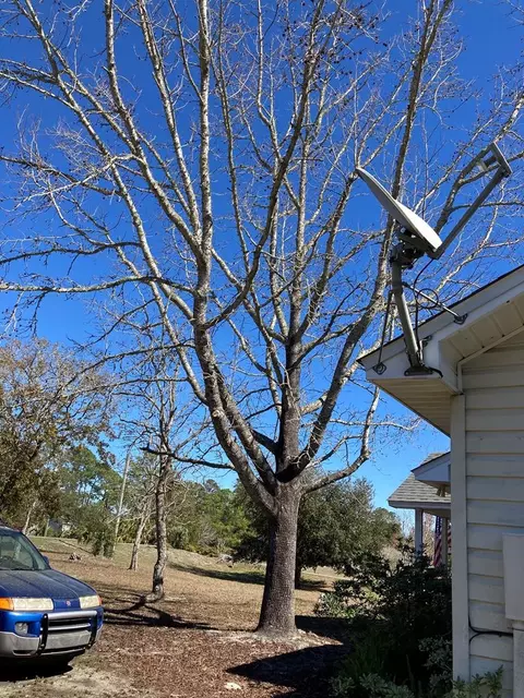 Exterior - 192 River Rd, Carrabelle, FL 32322 photo 14 of 15