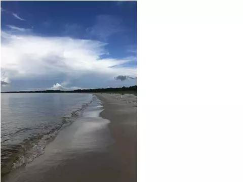 View/Area - 192 River Rd, Carrabelle, FL 32322 photo 8 of 16