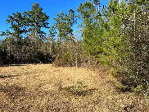 lot6 W Leary Dr, Wewahitchka, FL 32465