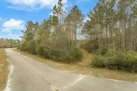 77 Old Palmetto Path, Saint Marks, FL 32355 photo 6