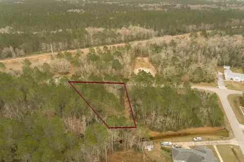 77 Old Palmetto Path, Saint Marks, FL 32355 photo 7
