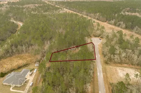 77 Old Palmetto Path, Saint Marks, FL 32355 photo 3