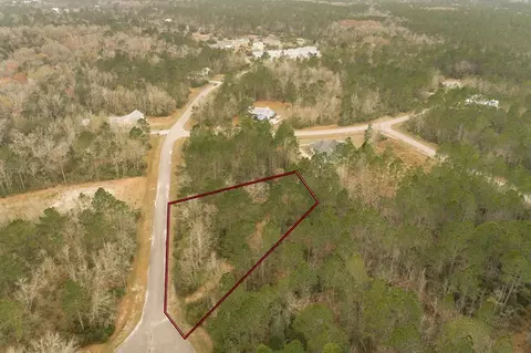77 Old Palmetto Path, Saint Marks, FL 32355 photo 2