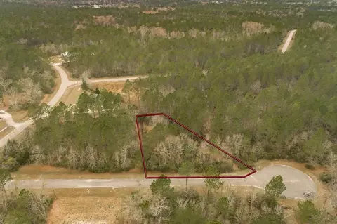 77 Old Palmetto Path, Saint Marks, FL 32355