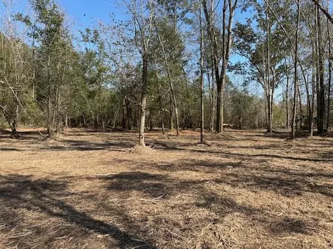 lot38 Hwy 71, Wewahitchka, FL 32465