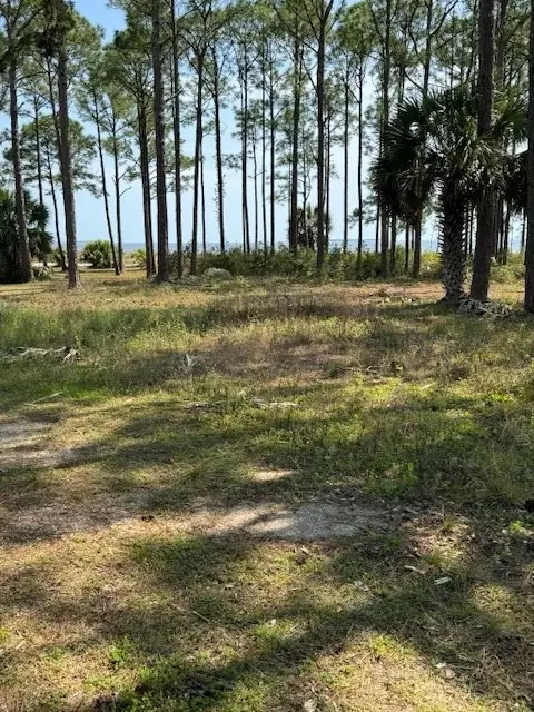 2842 Us 98, Carrabelle, FL 32322 photo 2