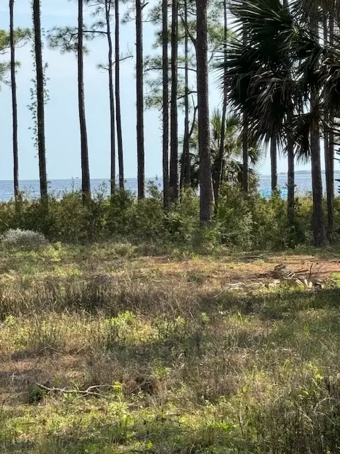 2842 Us 98, Carrabelle, FL 32322 photo 5