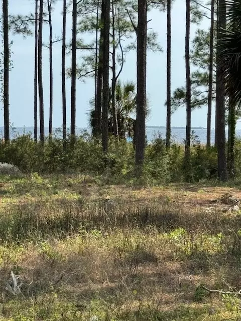 2842 Us 98, Carrabelle, FL 32322 photo 4