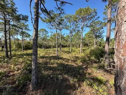 Parcel3b Houston Rd, Eastpoint, FL 32328