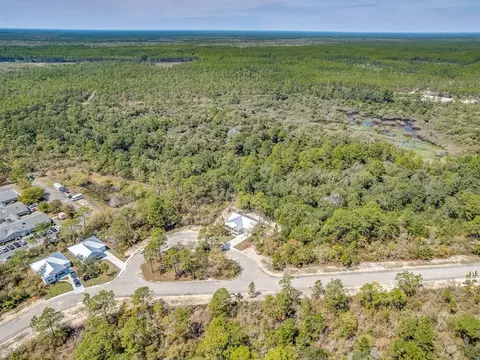 135 Anhinga Ct, Carrabelle, FL 32322 photo 40