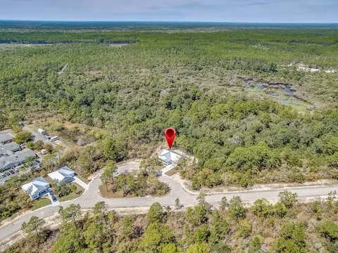 135 Anhinga Ct, Carrabelle, FL 32322 photo 41
