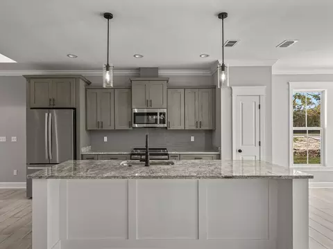 135 Anhinga Ct, Carrabelle, FL 32322 photo 24