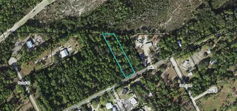 2629 Oak St, Carrabelle, FL 32322