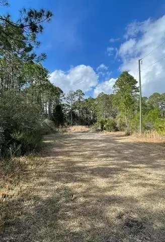 115 Timber Ln, Carrabelle, FL 32322 photo 1