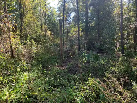 lot8 Riverside Cir, Wewahitchka, FL 32465