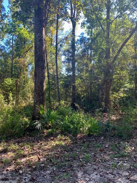 lot9 Riverside Cir, Wewahitchka, FL 32465