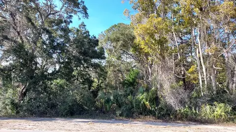 715 Ryan Dr, Carrabelle, FL 32322 photo 1