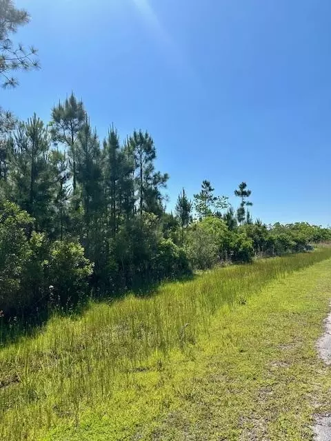 lot140 Ibis Dr, Wewahitchka, FL 32456