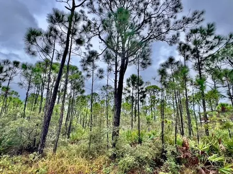 2005 Sand Dollar Trl, Saint George Island, FL 32328