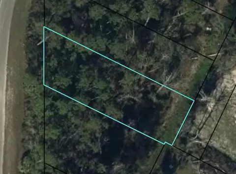 Parcel A Gardenia St, Wewahitchka, FL 32465