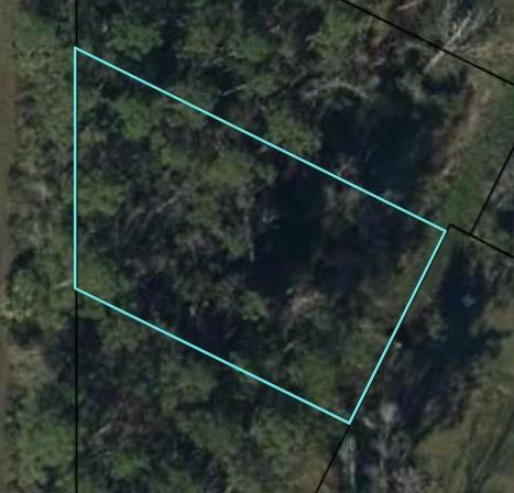 tbd Gardenia St, Wewahitchka, FL 32465