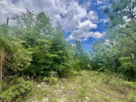 lot96 Ottawa Ct, Alford, FL 32420