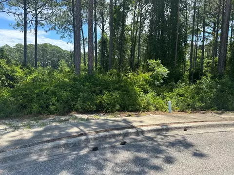 132 Spoonbill Ct, Carrabelle, FL 32322