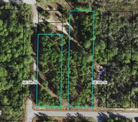 1002 NE 5th St, Carrabelle, FL 32322 photo 8