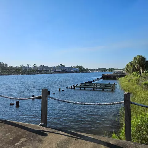 849 Mariners Ct, Carrabelle, FL 32322 photo 4