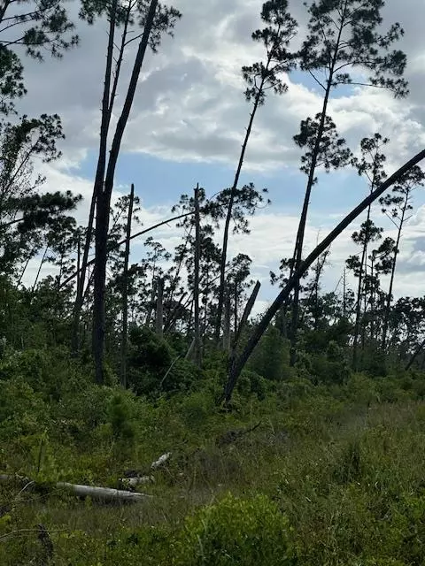 29 West Kelly Drive, Overstreet, FL 32456