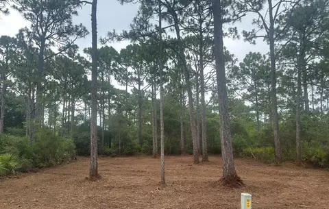 208 Royal Tern Way, Carrabelle, FL 32322