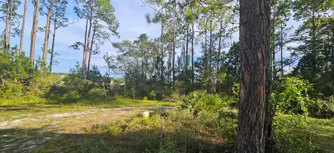 Other - 612 River Rd, Carrabelle, FL 32322 photo 7 of 12