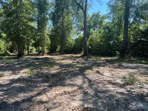 248 Catalpa Ave, Wewahitchka, FL 32465