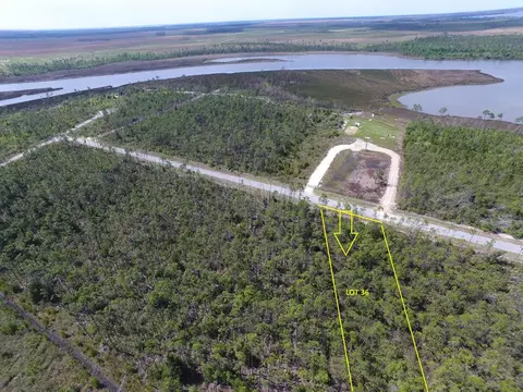 lot36 E Bay Dr, Wewahitchka, FL 32465