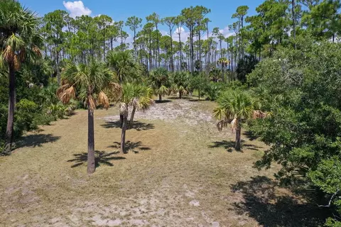 749 E Pine Ave, Saint George Island, FL 32328