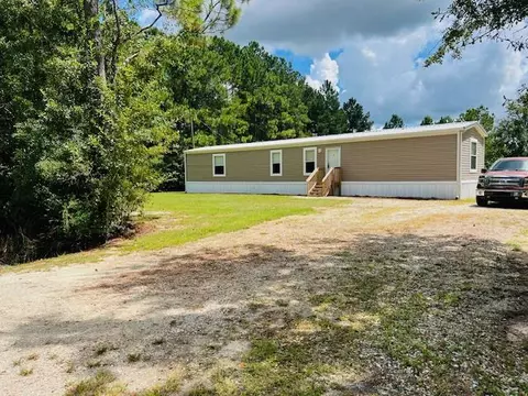 270 Bill Nelson Rd, Wewahitchka, FL 32465