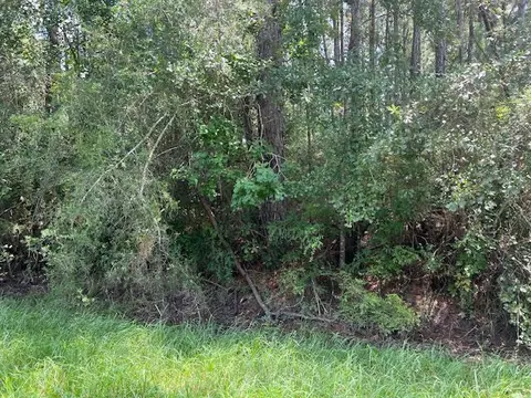 lot3 Bill Nelson Rd, Wewahitchka, FL 32465